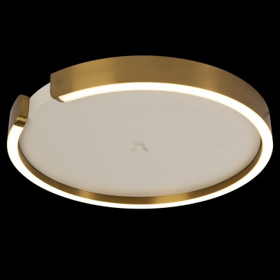 Потолочный светодиодный светильник Loft IT Ring 10026  фото, kupilegko.ru