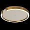 Потолочный светодиодный светильник Loft IT Ring 10026