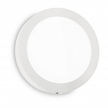 Настенно-потолочный светодиодный светильник Ideal Lux Universal D40 Round 240367  фото, kupilegko.ru