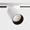Трековый светильник Italline IT08-8010 white  фото, kupilegko.ru