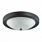 Настенно-потолочный светильник Lumion Nina 5260/3C