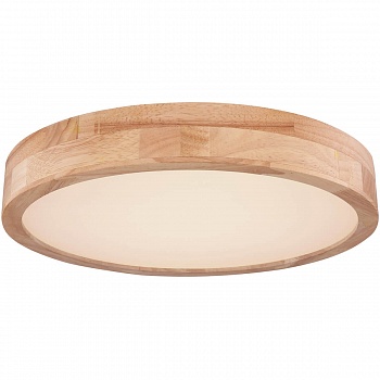 Потолочный светодиодный светильник Globo Rainer 41745-24  фото, kupilegko.ru