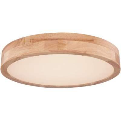 Потолочный светодиодный светильник Globo Rainer 41745-24  фото, kupilegko.ru