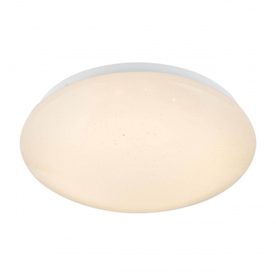 Потолочный светодиодный светильник Globo Atreju I 48363RGB  фото, kupilegko.ru