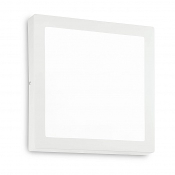 Настенно-потолочный светодиодный светильник Ideal Lux Universal D40 Square 240374  фото, kupilegko.ru