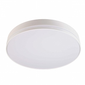 Настенно-потолочный светодиодный светильник Deko-Light Subra 401004  фото, kupilegko.ru