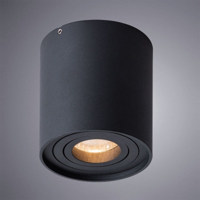 Потолочный светильник Arte Lamp Galopin A1460PL-1BK  фото, kupilegko.ru
