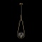 Подвесной светильник Freya Bumble FR5144PL-01TR