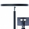 Торшер Arte Lamp Sceptrum A1822PN-1BK  фото, kupilegko.ru