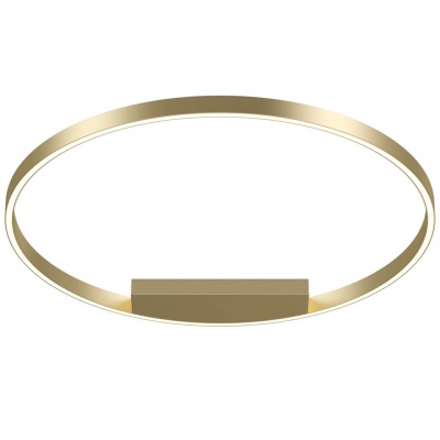 Потолочный светодиодный светильник Maytoni Rim MOD058CL-L50BS4K  фото, kupilegko.ru