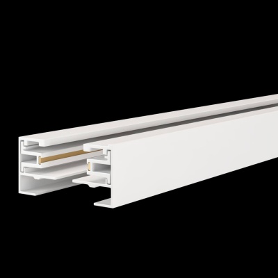 Шинопровод однофазный Maytoni Technical Busbar trunkings TRX001-113W  фото, kupilegko.ru