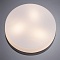 Уличные потолочные Arte Lamp Aqua-Tablet A6047PL-3AB  фото, kupilegko.ru
