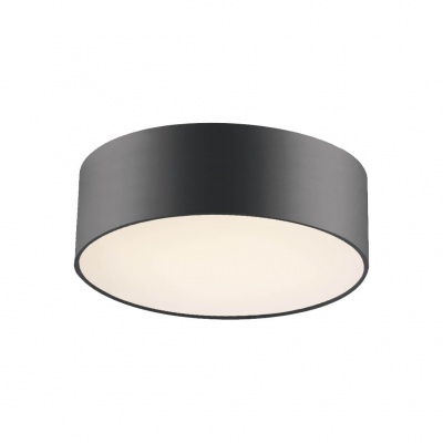 Потолочный светильник Favourite Cerchi 1514-2C1  фото, kupilegko.ru