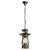 Подвеcной светильник Lussole Loft LSP-9518  фото, kupilegko.ru