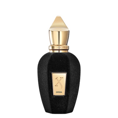 Женская парфюмерная вода XERJOFF Opera 103300022 LT  фото, kupilegko.ru