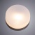 Уличные потолочные Arte Lamp Aqua-Tablet A6047PL-1AB  фото, kupilegko.ru