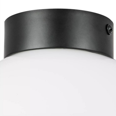 Настенно-потолочный светильник Lightstar Globo 812117  фото, kupilegko.ru