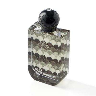 Парфюмерная вода LAZURE PERFUMES Tasman 120600034 LT  фото, kupilegko.ru
