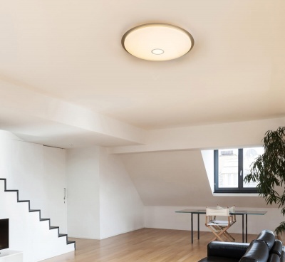 Потолочный светодиодный светильник Globo Rudi 48379-80  фото, kupilegko.ru