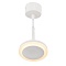 Подвесной светодиодный светильник Denkirs DK4022-WH