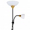 Торшер Arte Lamp Duetto A9569PN-2BK  фото, kupilegko.ru