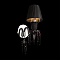 Бра, светильник настенный накладной Loft IT 10210/1W Black  фото, kupilegko.ru