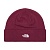 Шапка NORTH FACE NORM SHALLOW BEANIE NF0A5FVZ 366042 SP  фото, kupilegko.ru
