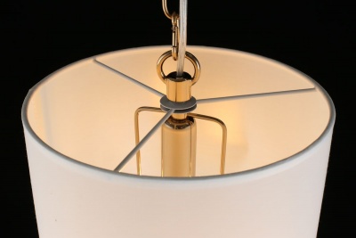 Подвесной светильник Aployt Franula APL.724.06.01  фото, kupilegko.ru