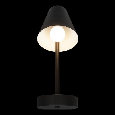 Бра, светильник настенный накладной Loft IT 10216/1W Black  фото, kupilegko.ru