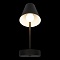 Бра, светильник настенный накладной Loft IT 10216/1W Black  фото, kupilegko.ru