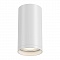 Потолочный светильник Maytoni Focus S C052CL-01W