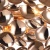 Настенный светильник Favourite Gittus 2013-2W  фото, kupilegko.ru