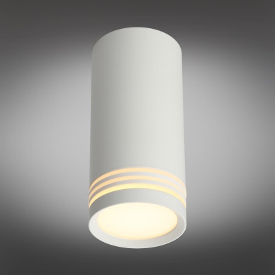 Потолочный светильник Omnilux Olona OML-100809-01  фото, kupilegko.ru