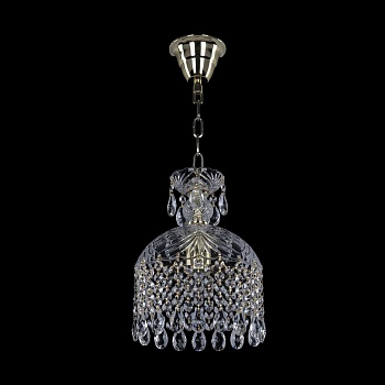 Подвесной светильник Bohemia Ivele 14783/20 G  фото, kupilegko.ru