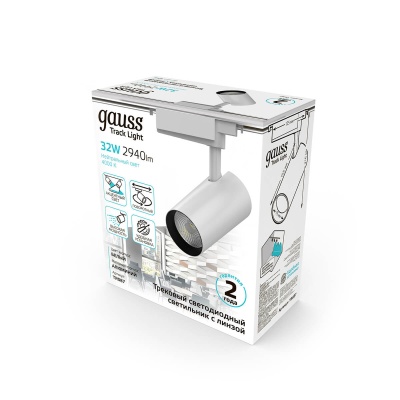 Трековый светодиодный светильник Gauss Track Light Led TR087  фото, kupilegko.ru