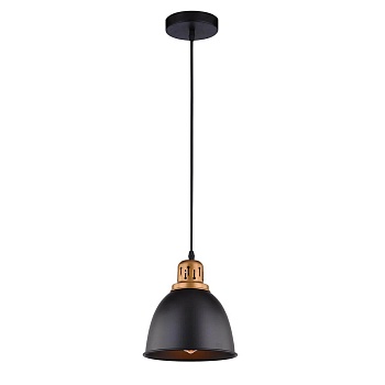 Подвесной светильник Arte Lamp Eurica A4245SP-1BK  фото, kupilegko.ru