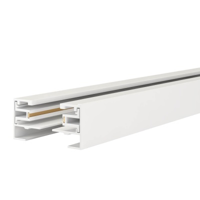 Шинопровод однофазный Maytoni Technical Busbar trunkings TRX001-113W  фото, kupilegko.ru