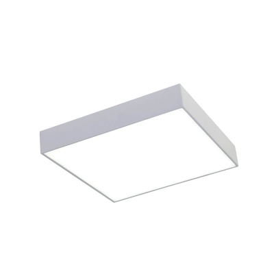 Потолочный светодиодный светильник Favourite Flashled 2066-30C  фото, kupilegko.ru