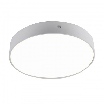 Потолочный светодиодный светильник Favourite Flashled 2065-30C  фото, kupilegko.ru