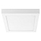 Потолочный светодиодный светильник Lightstar Zocco 324062