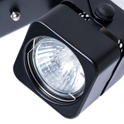 Потолочный светильник Arte Lamp A1315PL-2BK  фото, kupilegko.ru