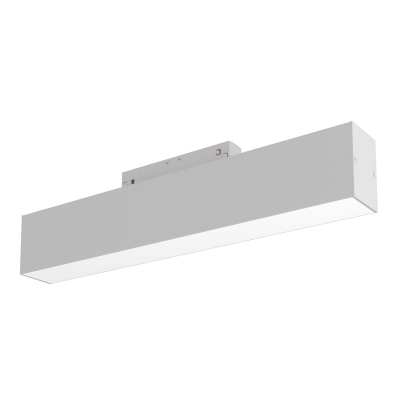 Трековый светильник Maytoni Basis TR012-2-12W3K-W  фото, kupilegko.ru