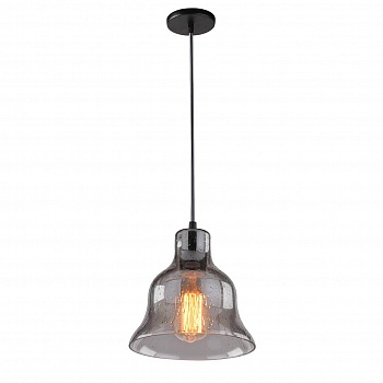 Подвесной светильник Arte Lamp Amiata A4255SP-1SM  фото, kupilegko.ru