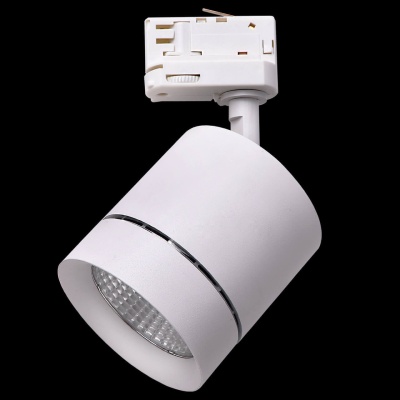 Трековый светодиодный светильник Lightstar Canno Led 301562  фото, kupilegko.ru