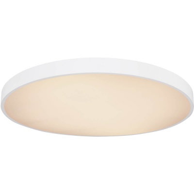 Потолочный светодиодный светильник Globo Wiss 41744-60  фото, kupilegko.ru