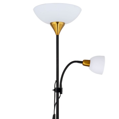 Торшер Arte Lamp Duetto A9569PN-2BK  фото, kupilegko.ru