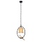 Подвесной светильник Loft IT Birds Loft1029A-1