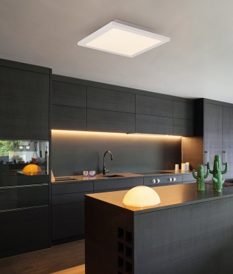 Потолочный светодиодный светильник Globo Rosi 41604D2F  фото, kupilegko.ru