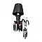 Бра, светильник настенный накладной Loft IT 10210/1W Black  фото, kupilegko.ru