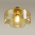 Потолочный светильник Odeon Light Binga 4747/1C  фото, kupilegko.ru